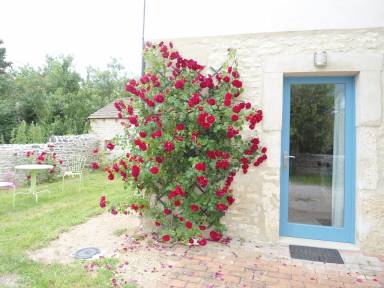 Cottage Jardin Buxy