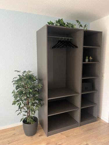foto5