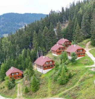 Vacation home with barbecue & sauna | Ski nearby | Pet-friendly in Wolfsberg