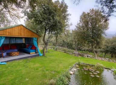 Apartment  Moltifao