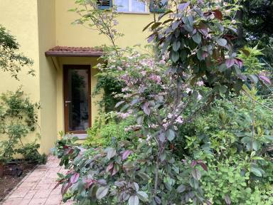 Familienorientierte charmante Wohnung mit Garten und Pool | Gartenblick | Haustiere erlaubt