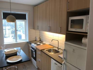 Apartment Kitchen Reykjavík