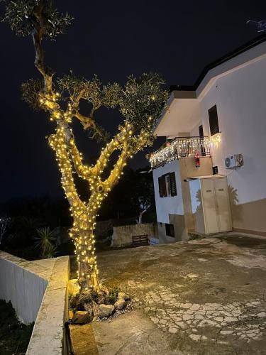 foto10