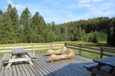 Ferienwohnung La Bresse