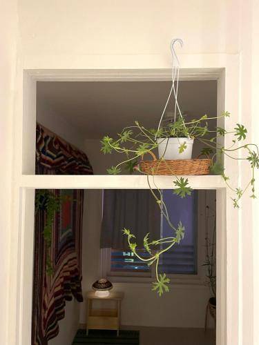 foto7