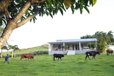 Maison de vacances  Rodrigues
