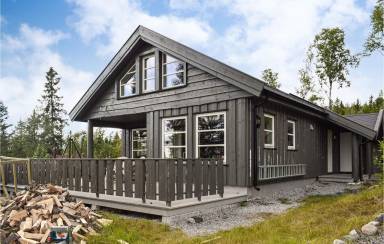Hus  Norefjell