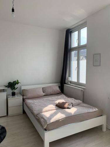 foto6