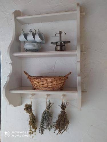 foto16