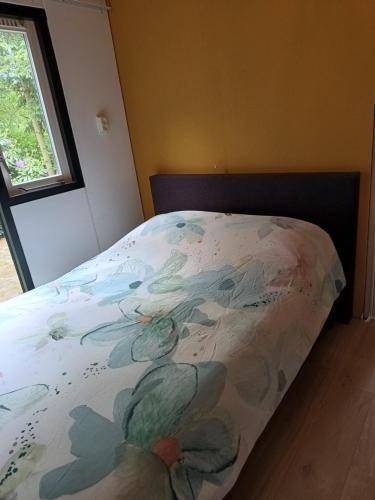 foto17