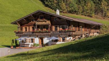 50 m² Ferienwohnung