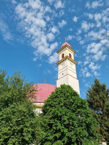 Villa  Palkonya