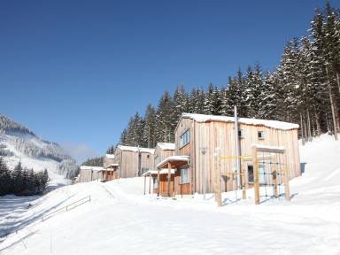 Chalet Kamin Gemeinde Wildalpen