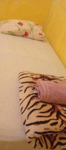 foto19