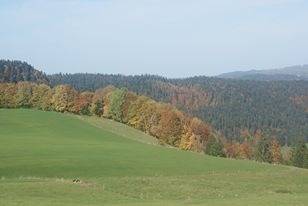 foto22