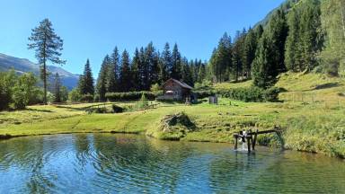 Hus Bucheben