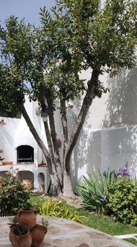 Casa  Buendía
