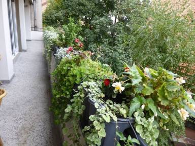 Appartement Belgrado