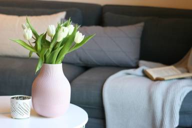 Appartement 41 m²