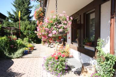 Appartement 33 m²
