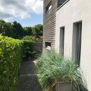 foto36