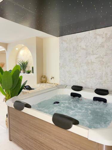 Appartement Tremblay-en-France