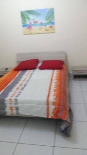 foto5