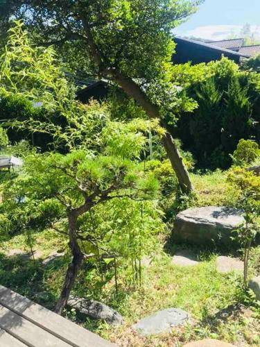 foto17