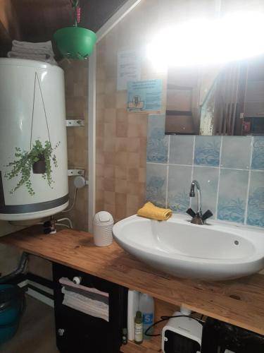 foto14