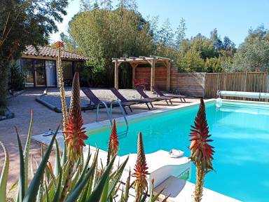 House Pool Montegrosso