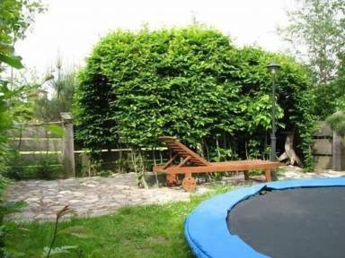 Apartament Rowy