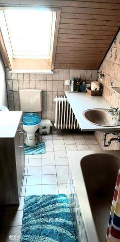 foto6