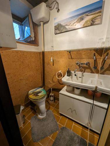 foto15