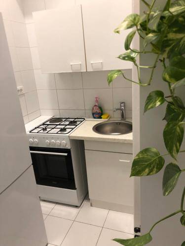 Apartma Šiška