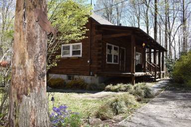 Cabin Yard Caroga Lake