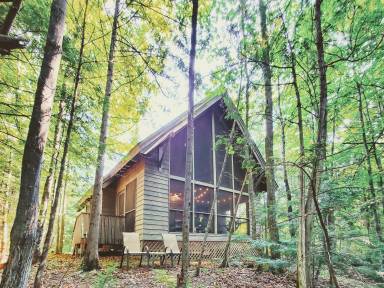 Cabin  Bayfield