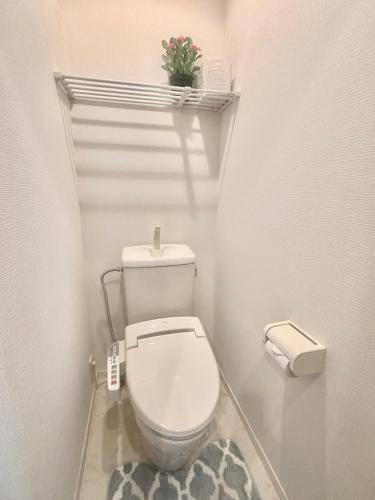 foto11
