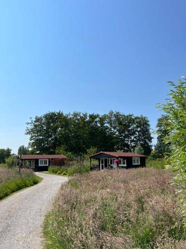 Bed & Breakfast Vogelenzang
