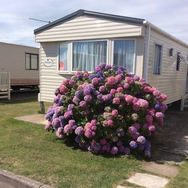Mobile home Highcliffe