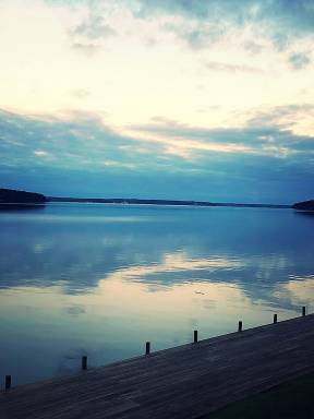 Cabin Lake D'Arbonne State Park