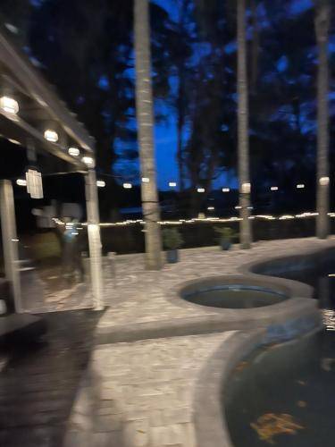 foto15