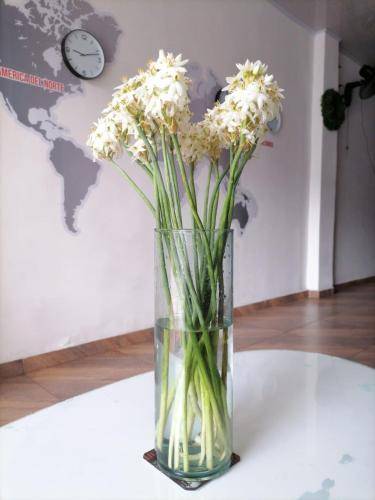 foto17