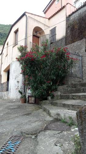 Appartamento Santa Caterina