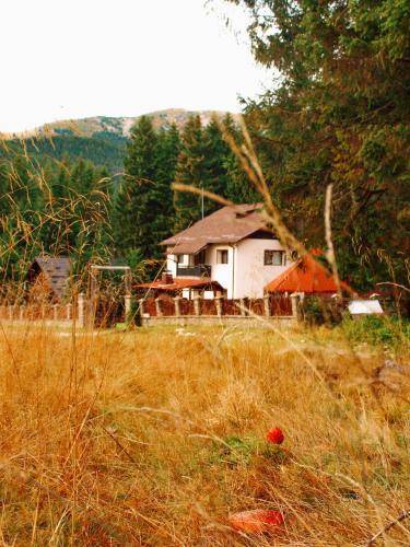Lodge  Moroeni