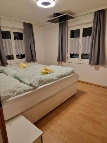foto20