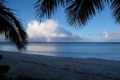 House Rarotonga