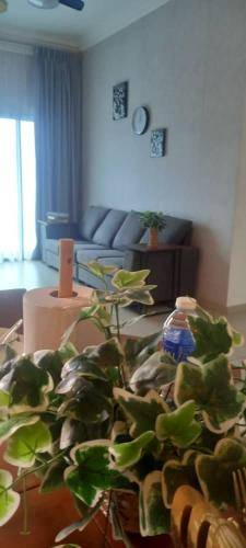 foto20