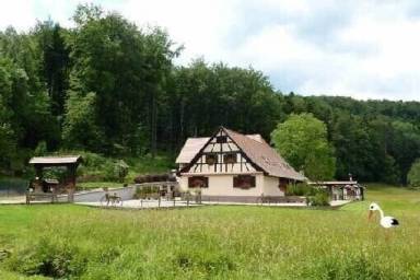 Casa rural Wangenbourg-Engenthal