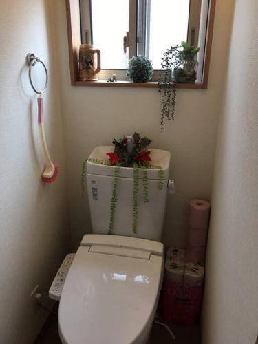 foto11