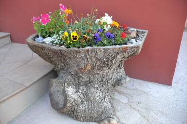 House Sassari
